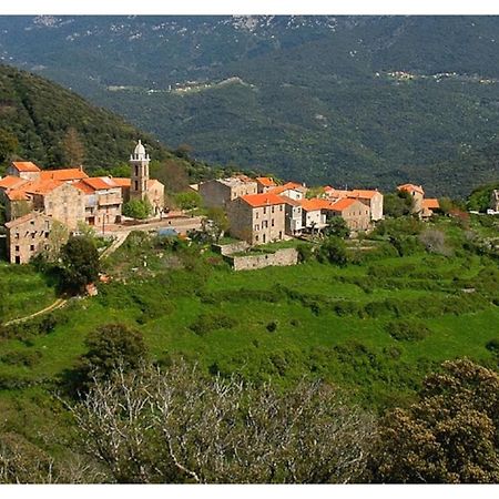 Villa Casadimela Porto-Vecchio  Exterior foto