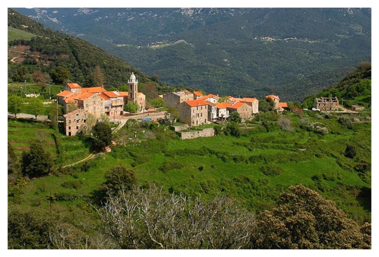 Villa Casadimela Porto-Vecchio  Exterior foto